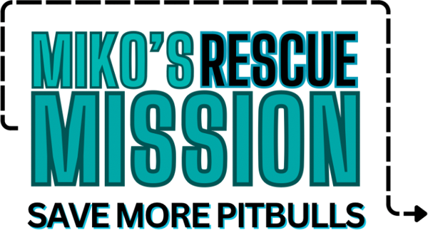Miko's Rescue Mission